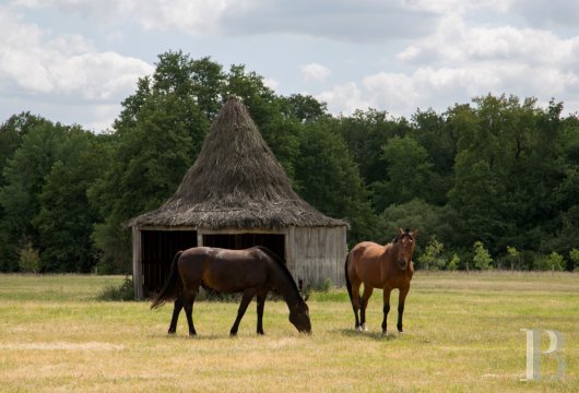 A country house rental for a year with access to the services and facilities of a large estate, an hour’s train ride from Paris in Touraine  - photo  n°32